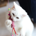 Load image into Gallery viewer, HOTEL FELINO DELUXE
