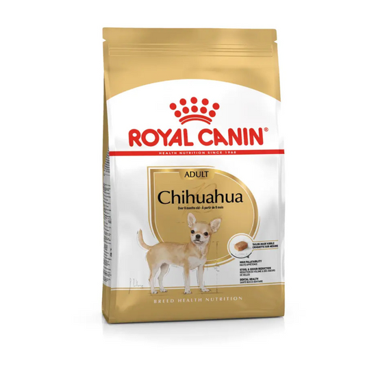 CHIHUAHUA ADULT