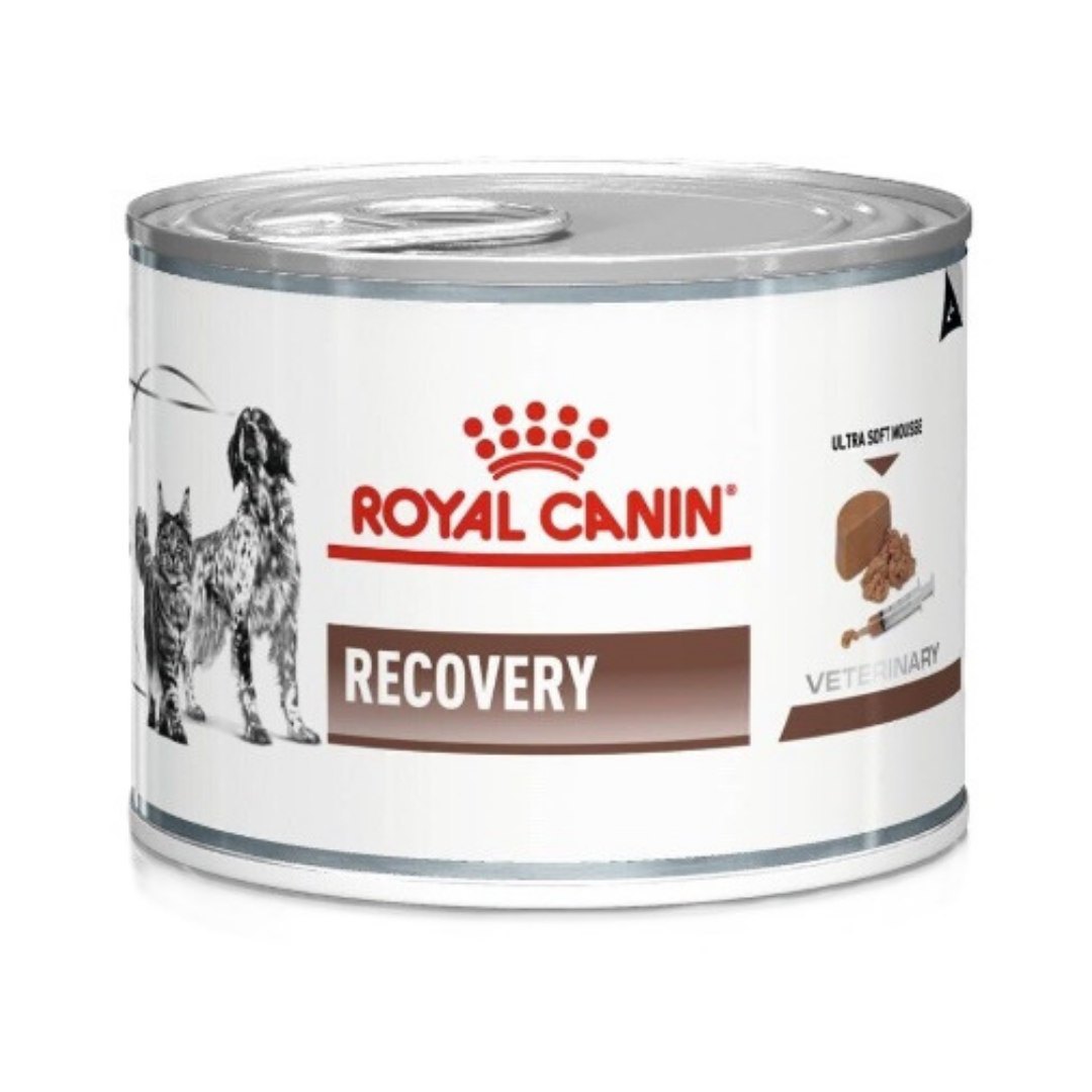 RECOVERY