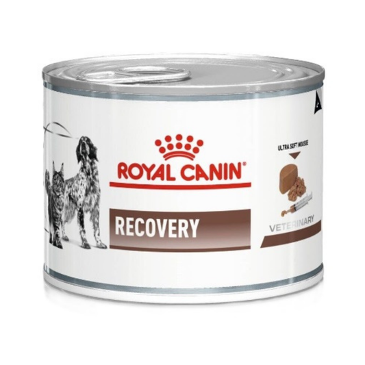 RECOVERY