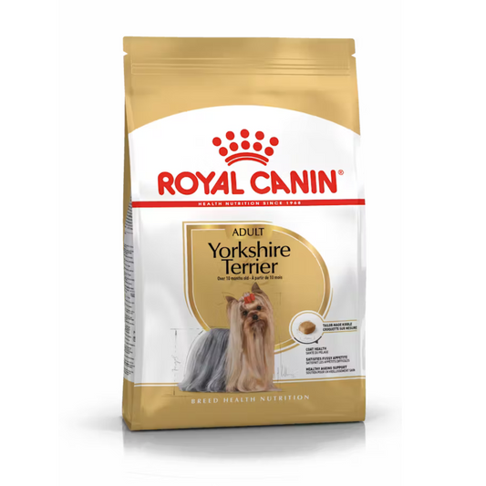 YORKSHIRE TERRIER